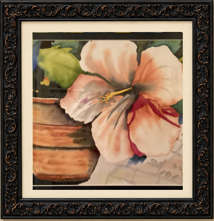Peach hibiscus flower with green leaves and terracotta pot
