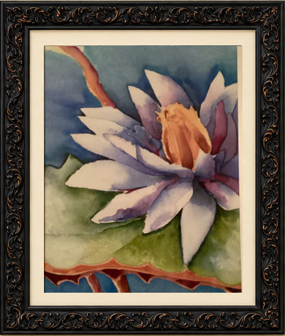 White water lily with violet shadows and a golden center